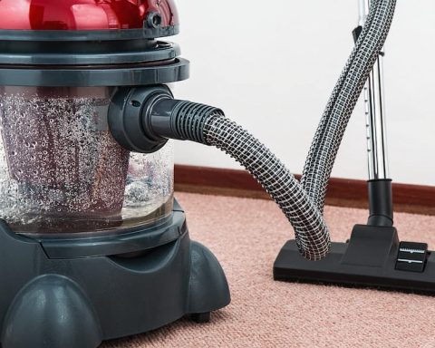 How To Get Lily Pollen Out Of Carpet