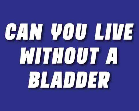 Can You Live Without A Bladder