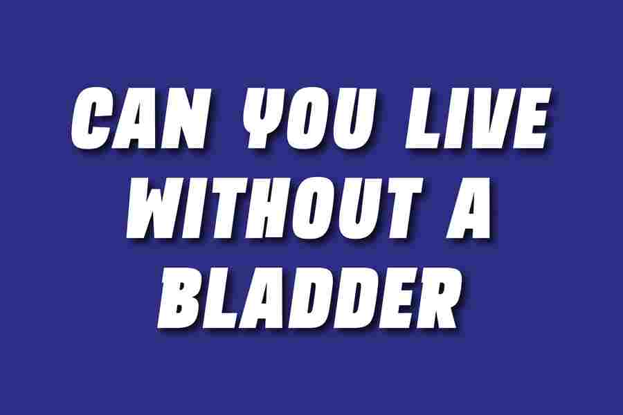 Can You Live Without A Bladder