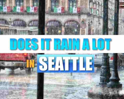 Does It Rain A Lot in Seattle