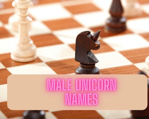 Male Unicorn Names