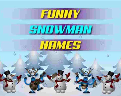 Funny Snowman Names