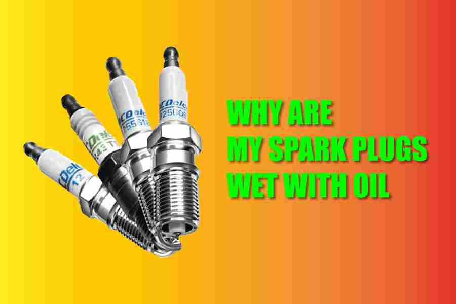 Why Are My Spark Plugs Wet with Oil