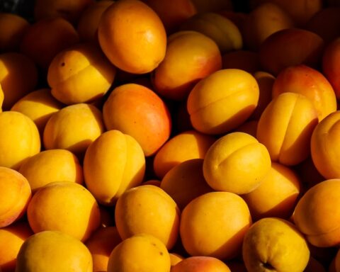 How Many Dried Apricots Should I Eat A Day